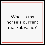 What is my horse’s current market value?